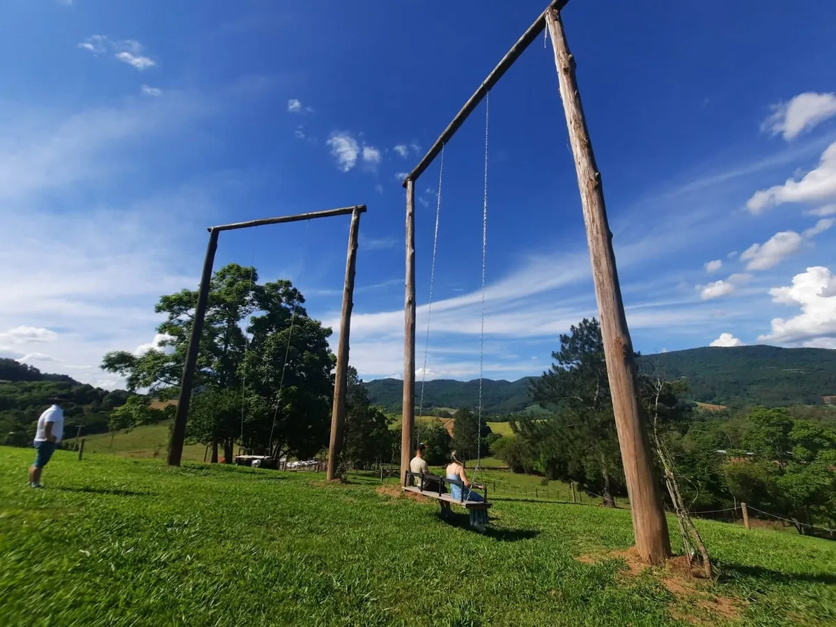 Balanços gigantes de madeira no gramado, com vista para o vale