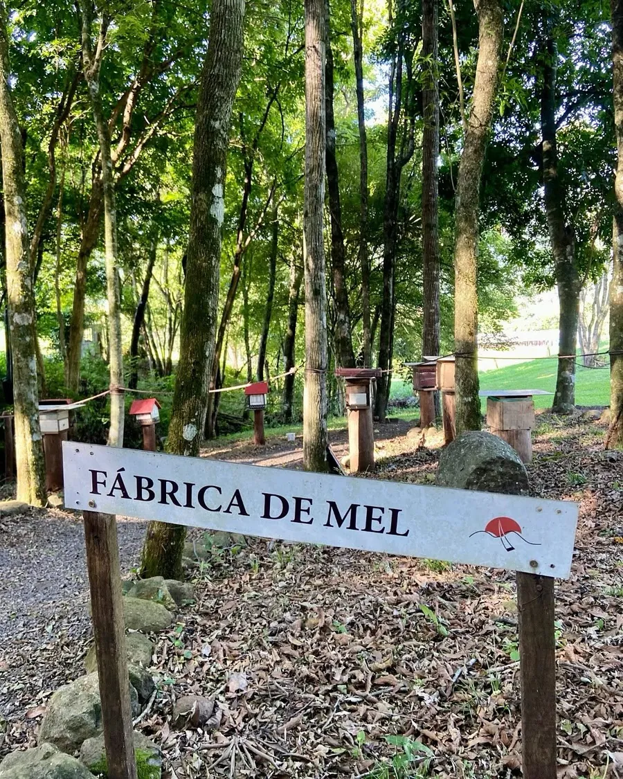 Placa e caixinhas da Fábrica de Mel na mata