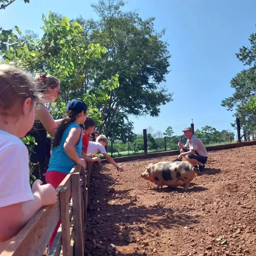 Família alimentando um porco na Fazendinha do Vovô