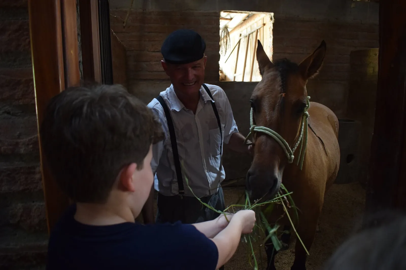 Menino dando capim a um cavalo no estábulo do Garden