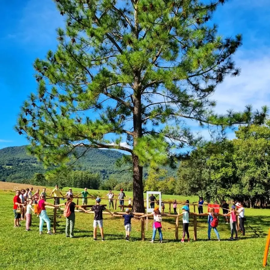 Grupo de crianças e adultos abraçando uma árvore