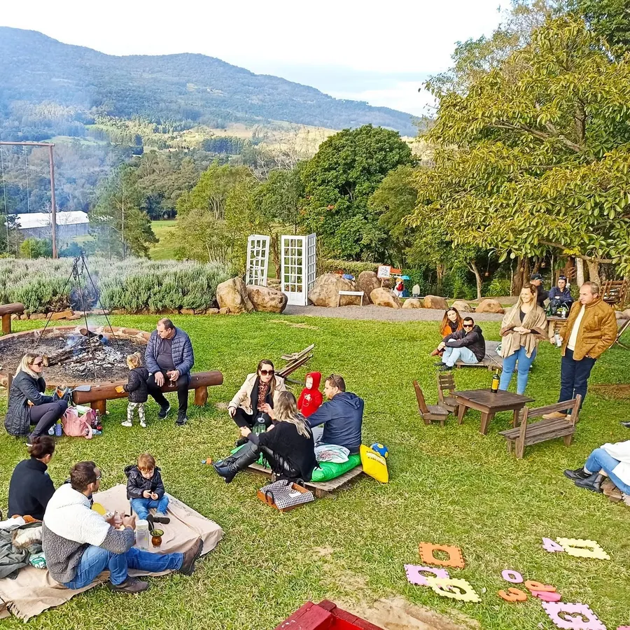 Tábua de piquenique com queijos, frutas e geleias