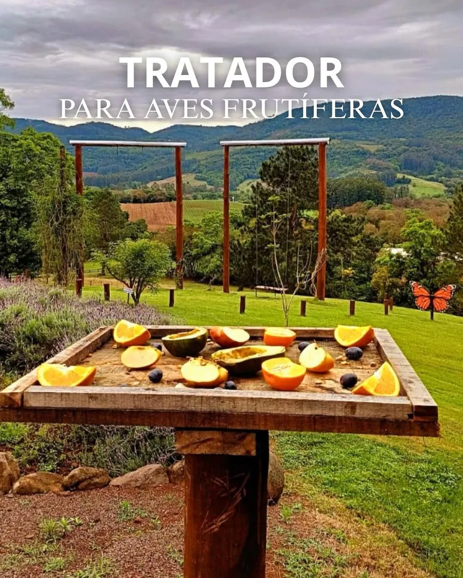 Comedouro de frutas para aves, atividade pedagógica do Garden